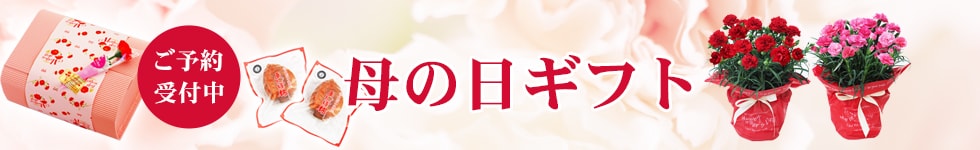 母の日ギフト