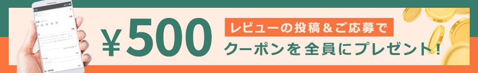 レビュー500円